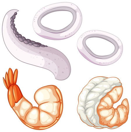 Colorful vector illustration of shrimp and squid pieces. Clean lines and vibrant colors highlight the seafood's texture and freshnessのイラスト素材
