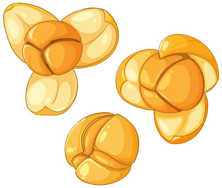 Detailed vector illustration of jackfruit seeds with vibrant colors and smooth shading, highlighting their unique texture and shapeのイラスト素材