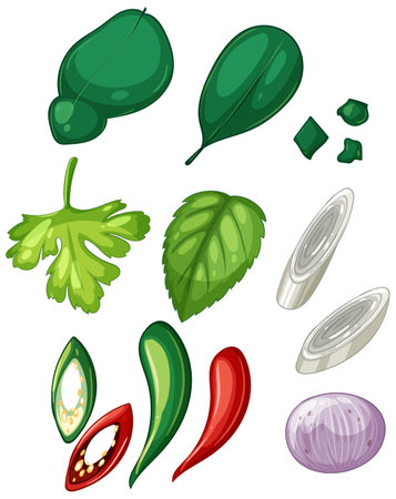 Vibrant vector illustration of various herbs and spices in a flat style. Includes basil, cilantro, chili, and onion slicesのイラスト素材