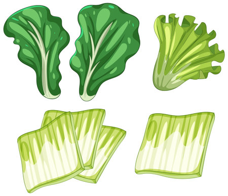 Colorful vector illustration of various Asian leafy greens with detailed textures and vibrant shades of greenのイラスト素材