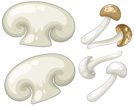 Stylized vector illustration of different mushrooms with a clean, minimalistic design. Soft colors and smooth shading enhance visual appealのイラスト素材