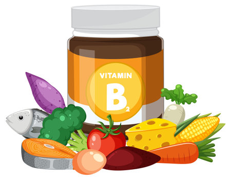 Vector illustration of a Vitamin B2 jar surrounded by fish, vegetables, cheese, and grains in a colorful flat design styleのイラスト素材