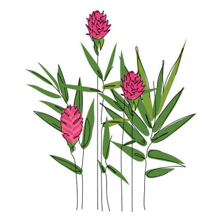 Tropical Isolate composition of exotic bamboo leaves, ginger flower, hawaii flower. Outline vector illustration Biophilia can be use to wedding invitation in hand drawn one line art style.のイラスト素材
