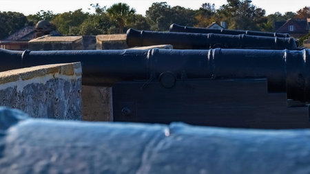 Cannons at Fort
