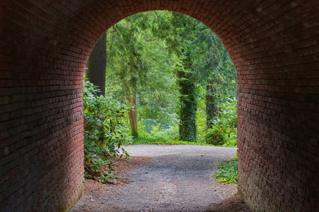 Garden Tunnel at Biltmoreの写真素材