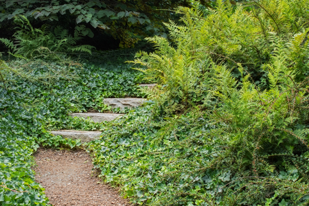 Garden Path to Nowhereの写真素材