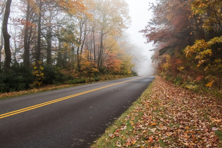 Foggy Drive on the Parkwayの写真素材