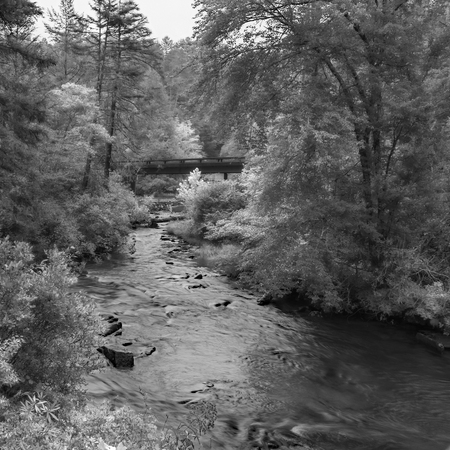 Infrared Stream in the Forestの写真素材