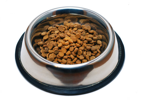Dog Food Bowl Isolated on White