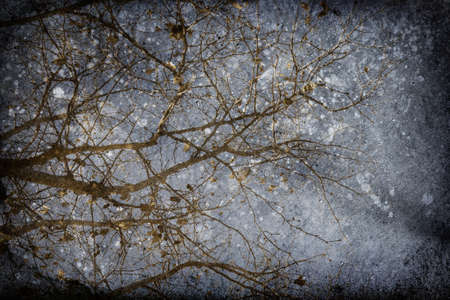 Abstract Vintage Winter Backgroundの写真素材