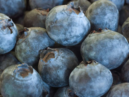Blueberries Macroの写真素材