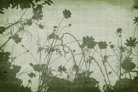 Floral Grunge Backgroundの写真素材