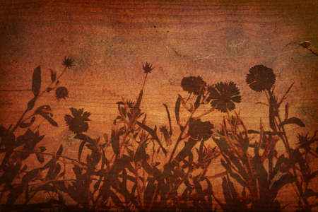 Floral Silhouette on Woodの写真素材