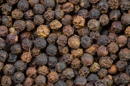 Peppercorn Macroの写真素材