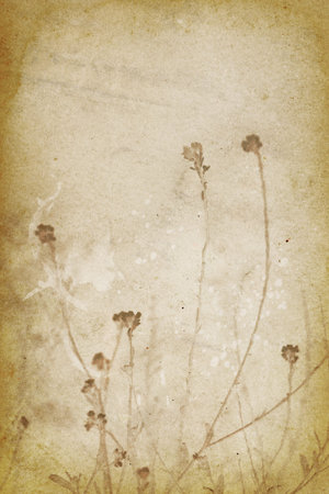 Vintage Floral Backgroundの写真素材