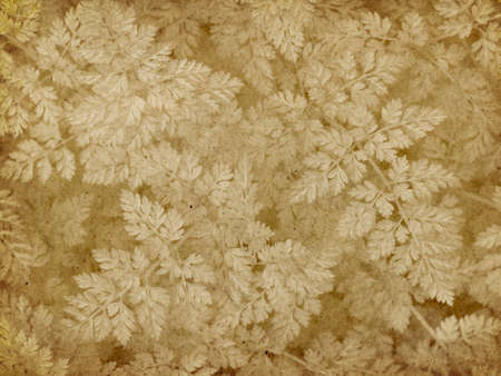 Vintage Lichen Imprintの写真素材