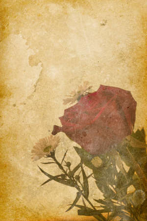 Vintage Rose Imprint Backgroundの写真素材
