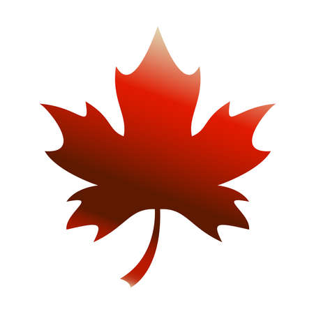 Maple Leaf Vector Iconのイラスト素材