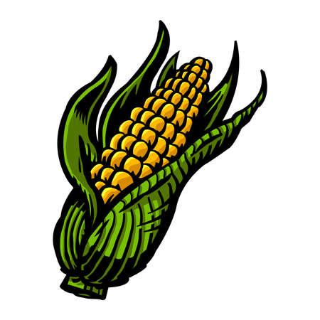 Cornのイラスト素材