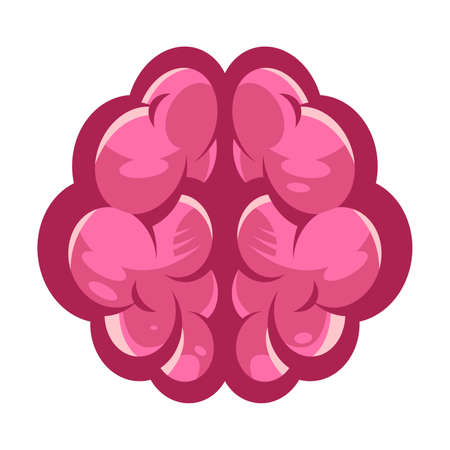 Human Brain Medical Anatomy Cartoon Illustrationのイラスト素材