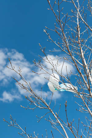 A plastic shopping bag is caught in the branches of a tree. A blue sky with clouds is in the background.の写真素材
