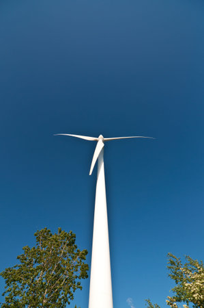A large wind turbine stands above the treetops with a deep blue sky in the background.の写真素材