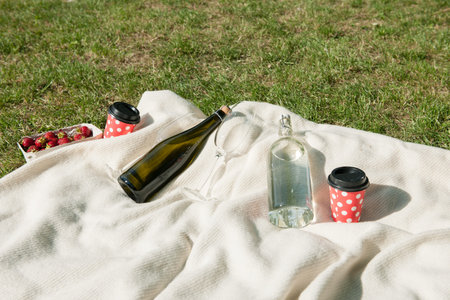 Champagne, water bottle, and strawberries on white blanketの写真素材