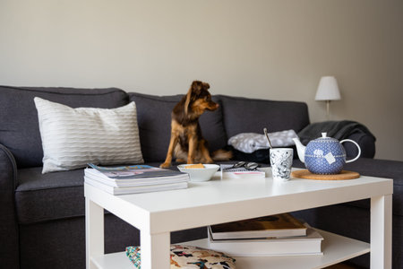 Cozy home setting, with pillows and blankets on couch, a warm cup of tea or coffee, and a good book...