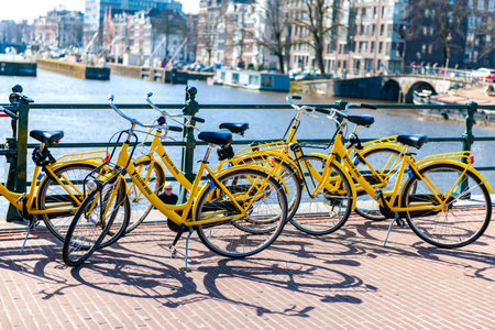 Editorial stock picture of a the famous Amsterdam tourists yellow bike, that can be rented for a bike trip around the Dutch capital. There is group of 5 shiny bikes parked on a bridge.  It is a beautiful day in early April, and the trees still stand withoのeditorial素材