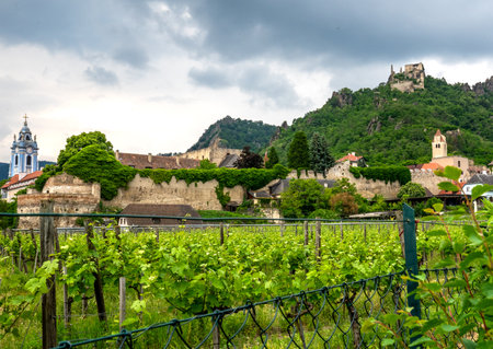 June 8, 2023 Wide landscape view of the picturesque DÃ¼rnstein, a small town on the Danube River. Vineyards in the foreground and DÃ¼rnstein Castle in the distance.のeditorial素材