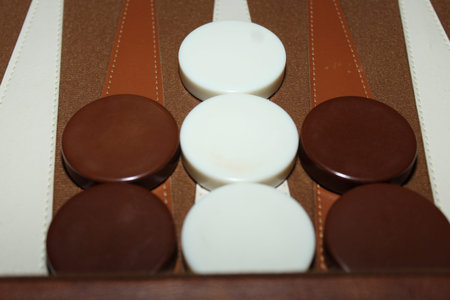 a set of backgammon pieces set up in the middle of a game