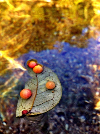 Jacobs wellの素材