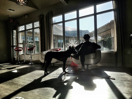 Man and his dog in a apartmentの素材