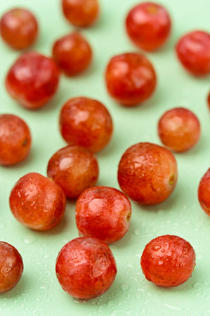 Close up of loose juicy ripe Grapes on a plain Green backgroundの写真素材