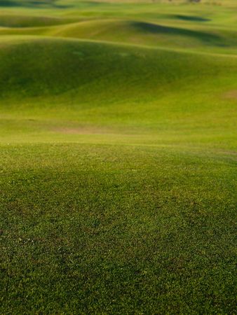 Grass background,の写真素材
