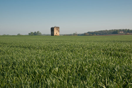 Stone tower stands lonely in field, Tuscany, Italy.の写真素材