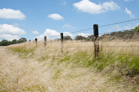 Fence through grassland 