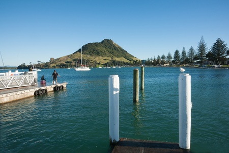 Tauranga, New Zealand, April 9, 2012: Fishing from the pier, SalisburyWharf, Mount Maunganui, New Zealand.のeditorial素材