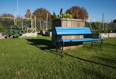 Empty blue seat in community garden の写真素材