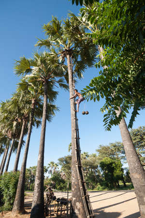 Myanmar travel and people images.のeditorial素材