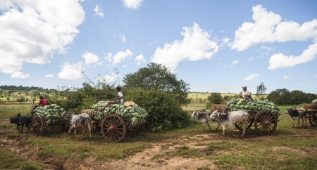 Myanmar travel and people images.のeditorial素材