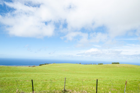 Hamakua Coast on Hawaii\\\\の写真素材