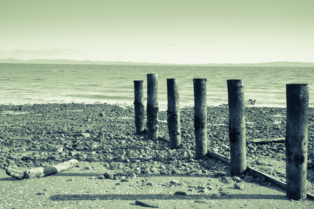 A cool overcast day at Tararu Beach, Thames, Coromandel., old jetty piles at low tide.の写真素材