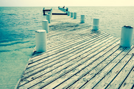 Vintage effect image old jetty projecting out to sea with pelicans on end piles.の写真素材