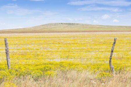 Arizona countryside on Route 66の写真素材