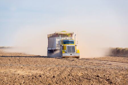 Dust stirred up follows grain truck crossing cropped field in rural Texas USAの写真素材