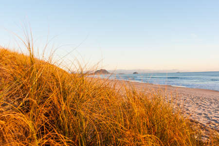 Papamoa at sunrise looking toward the Mount at end of beachの写真素材