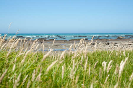 Coastal new Zealand blue sky and sea to horizon beyond green garssy foreground and rocky foreshore.の写真素材