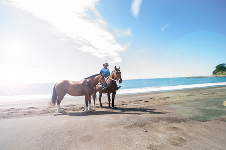Te Kaha, New Zealand - January 13, 2013; Local riding on beach with two horses stops and stands...