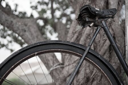 Vintage old bicycle closeup wheel and seat leaning against treeの写真素材